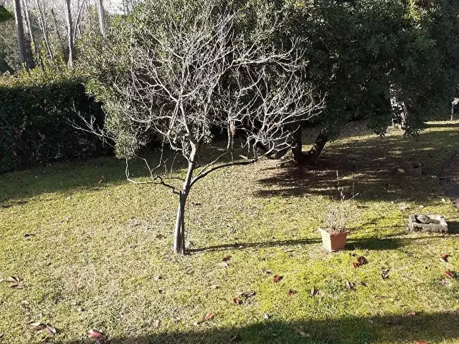 Immagine 24 di Casa semindipendente in vendita  a Massa