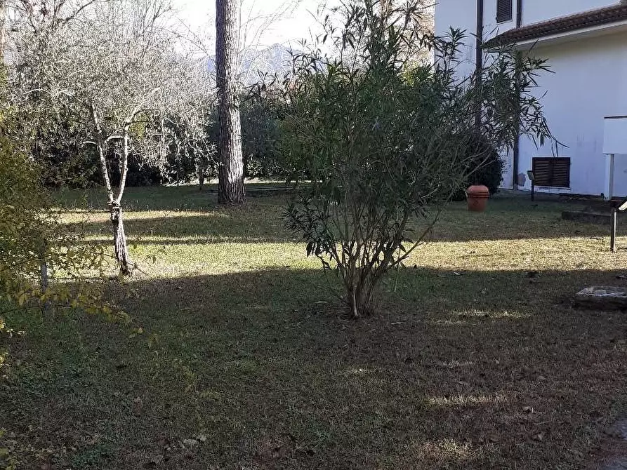 Immagine 22 di Casa semindipendente in vendita  a Massa