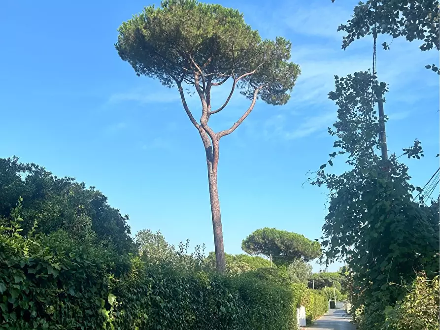 Immagine 31 di Casa semindipendente in vendita  a Massa