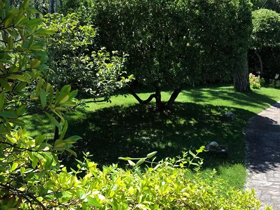 Immagine 33 di Casa semindipendente in vendita  a Massa