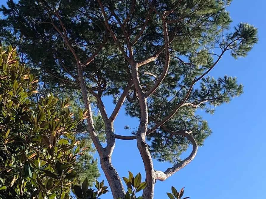 Immagine 34 di Casa semindipendente in vendita  a Massa