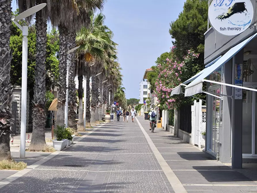 Immagine 3 di Casa indipendente in vendita  a Cecina