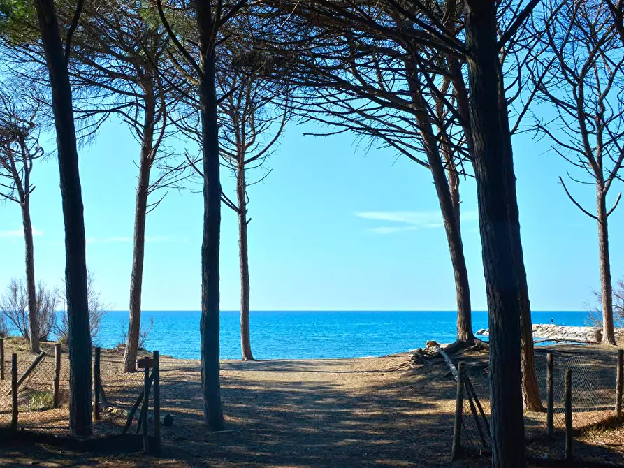 Immagine 5 di Casa indipendente in vendita  a Cecina