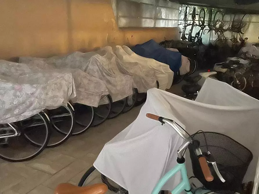 Immagine 17 di Appartamento in affitto  a Viareggio