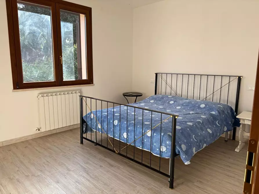 Immagine 10 di Appartamento in vendita  a Rosignano Marittimo