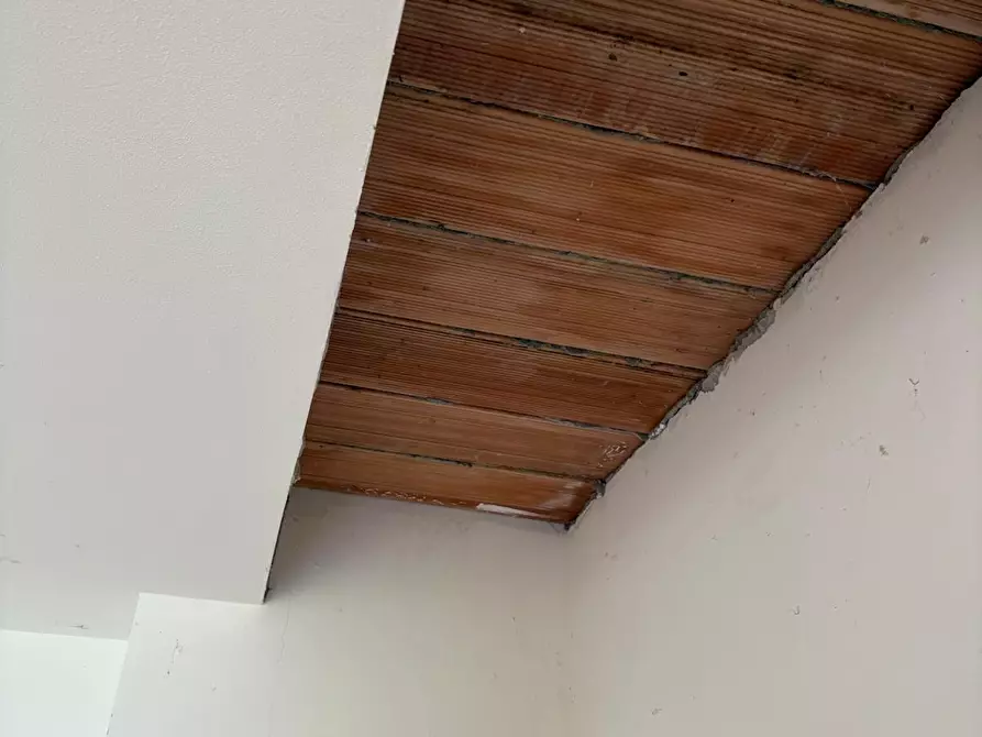 Immagine 23 di Appartamento in vendita  a Rosignano Marittimo