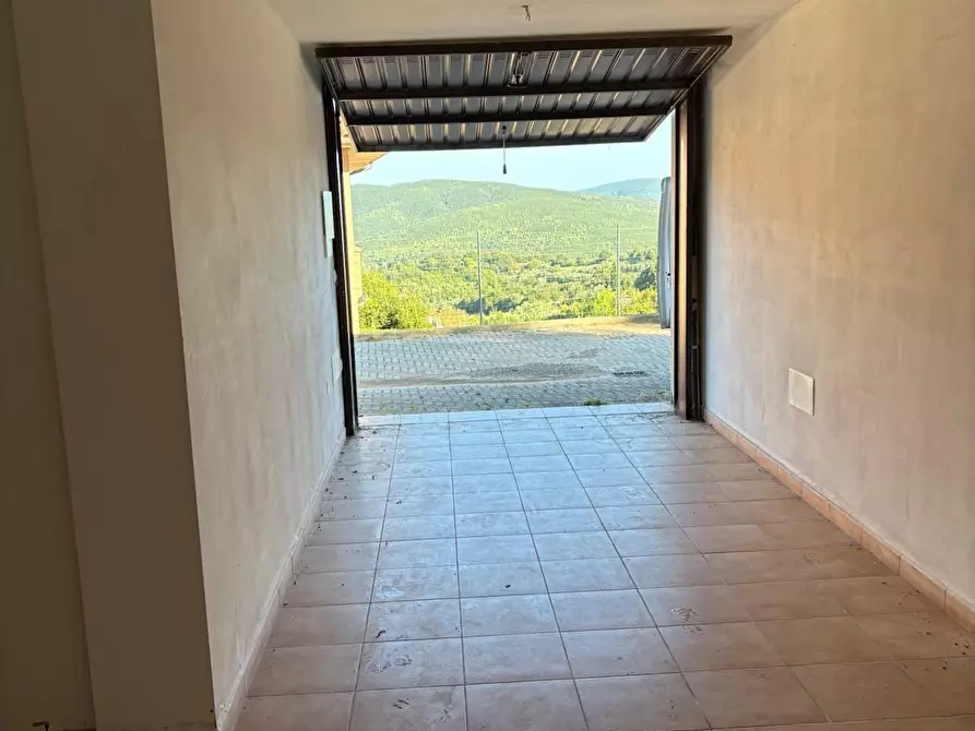 Immagine 42 di Appartamento in vendita  a Rosignano Marittimo