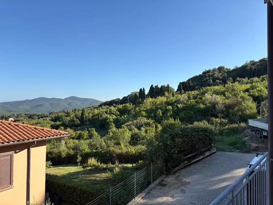 Immagine 2 di Appartamento in vendita  a Rosignano Marittimo