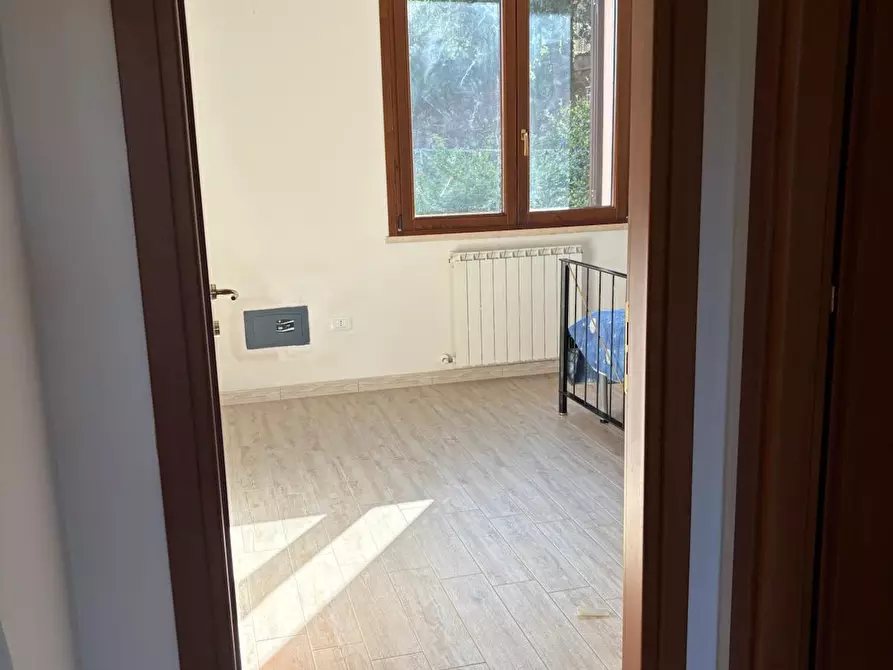 Immagine 24 di Appartamento in vendita  a Rosignano Marittimo