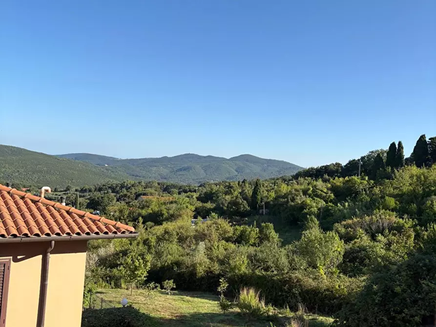 Immagine 3 di Appartamento in vendita  a Rosignano Marittimo