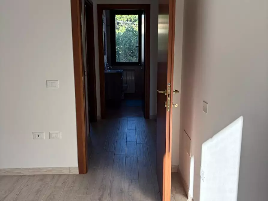 Immagine 25 di Appartamento in vendita  a Rosignano Marittimo