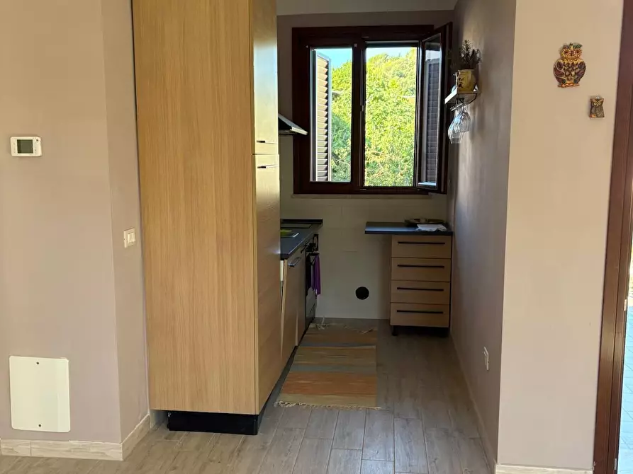 Immagine 28 di Appartamento in vendita  a Rosignano Marittimo