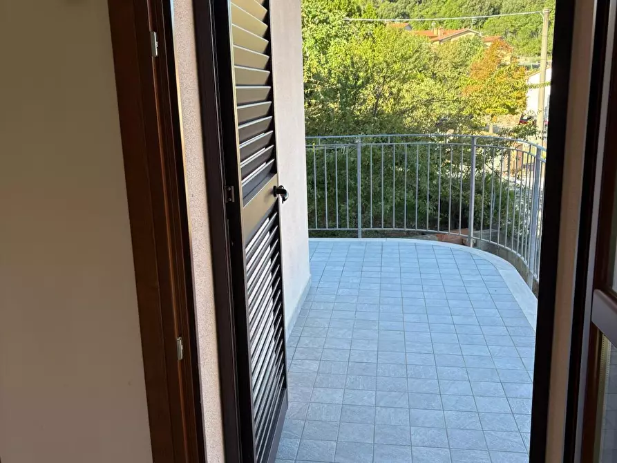 Immagine 37 di Appartamento in vendita  a Rosignano Marittimo