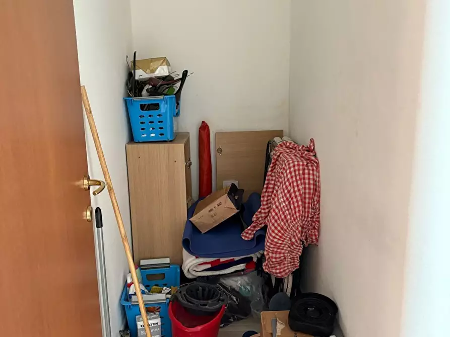 Immagine 19 di Appartamento in vendita  a Rosignano Marittimo