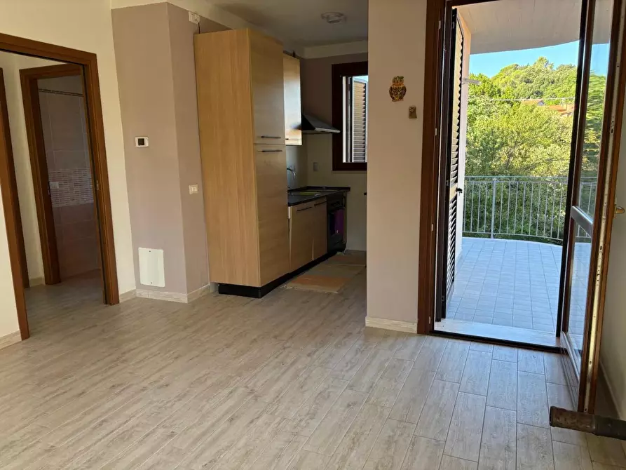 Immagine 34 di Appartamento in vendita  a Rosignano Marittimo