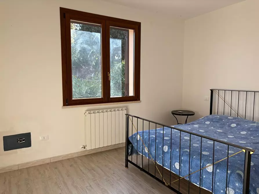 Immagine 32 di Appartamento in vendita  a Rosignano Marittimo