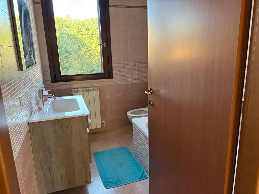 Immagine 17 di Appartamento in vendita  a Rosignano Marittimo