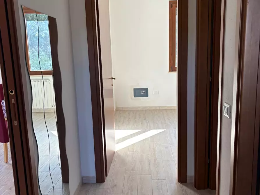 Immagine 38 di Appartamento in vendita  a Rosignano Marittimo