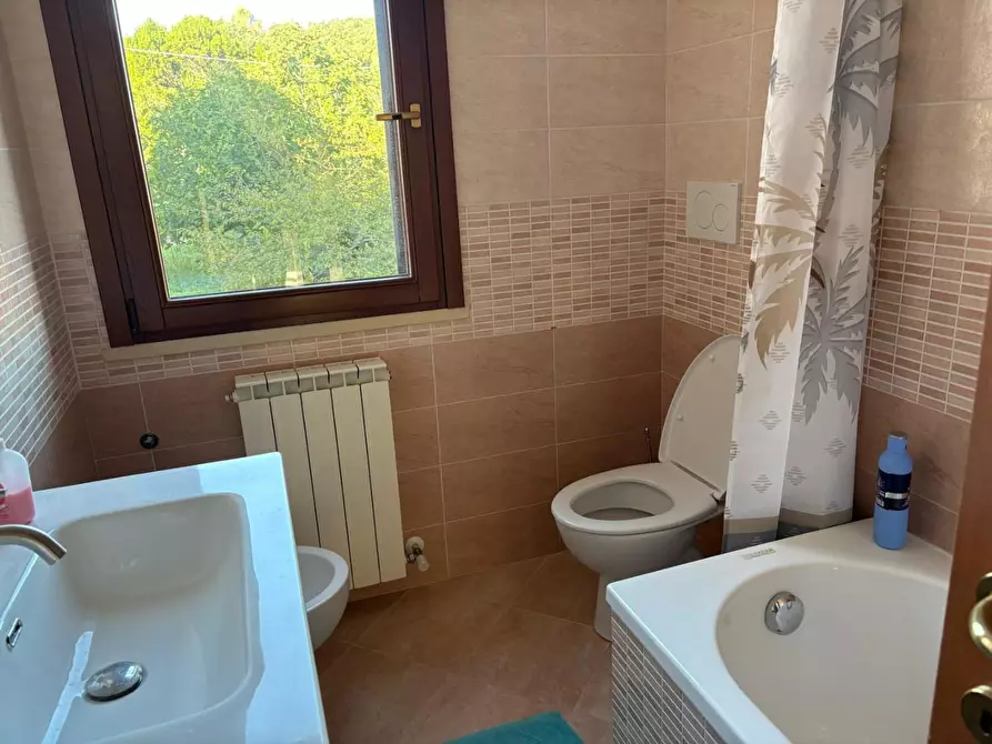 Immagine 16 di Appartamento in vendita  a Rosignano Marittimo