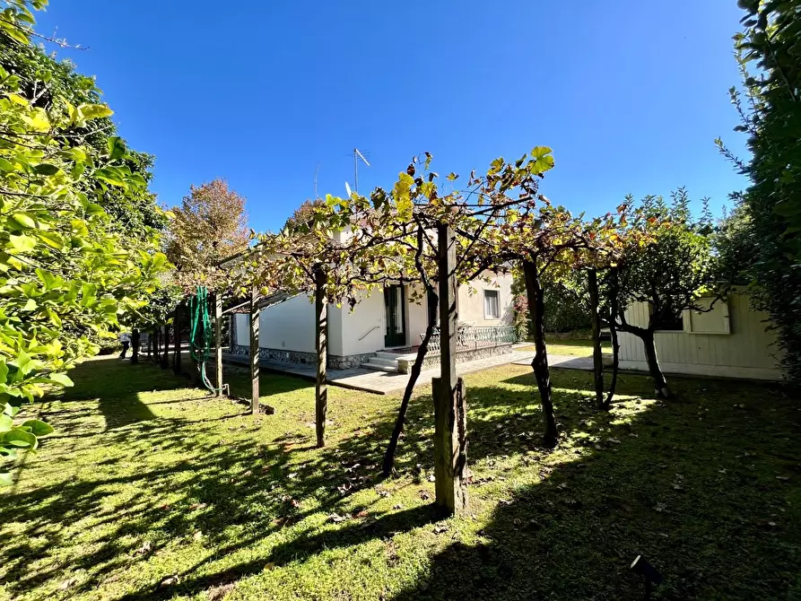 Immagine 8 di Casa indipendente in affitto  a Forte Dei Marmi