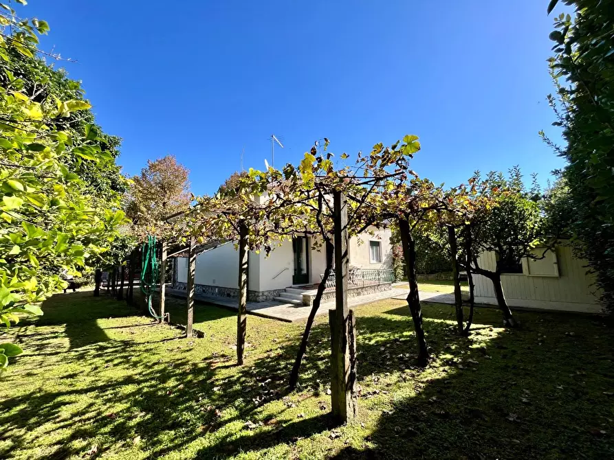 Immagine 7 di Casa indipendente in affitto  a Forte Dei Marmi
