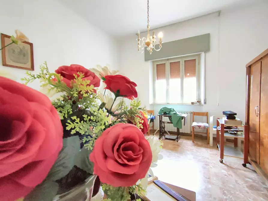 Immagine 34 di Casa indipendente in vendita  a San Giuliano Terme