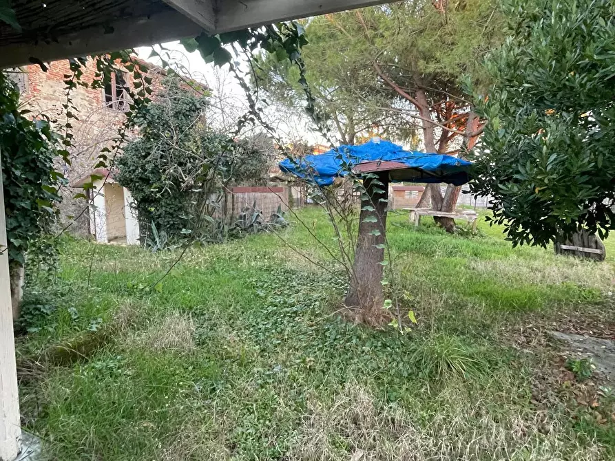 Immagine 29 di Terratetto in vendita  a Cascina