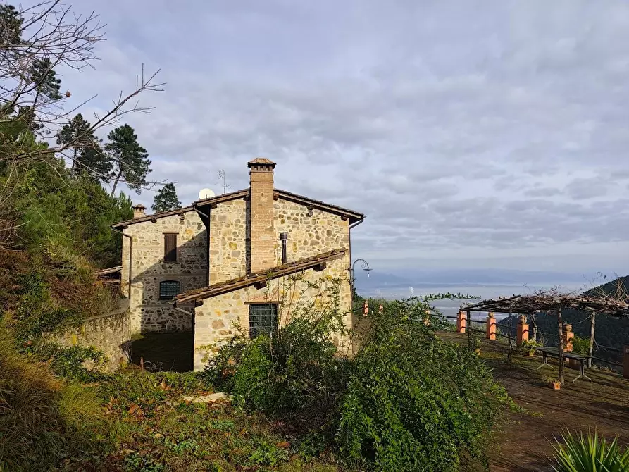 Immagine 14 di Casa colonica in vendita  a Capannori