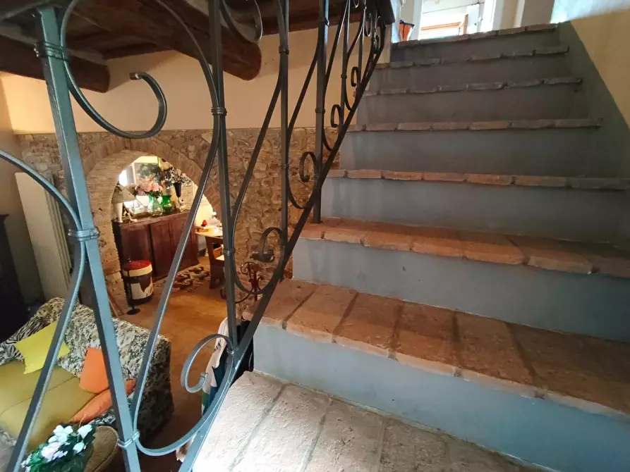 Immagine 42 di Casa colonica in vendita  a Capannori