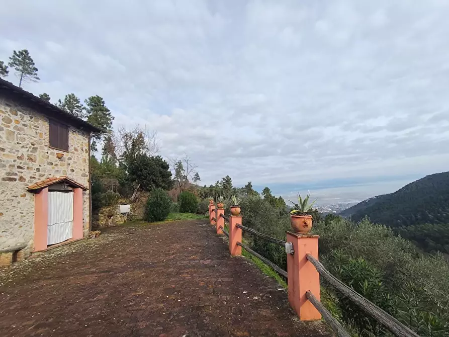 Immagine 8 di Casa colonica in vendita  a Capannori