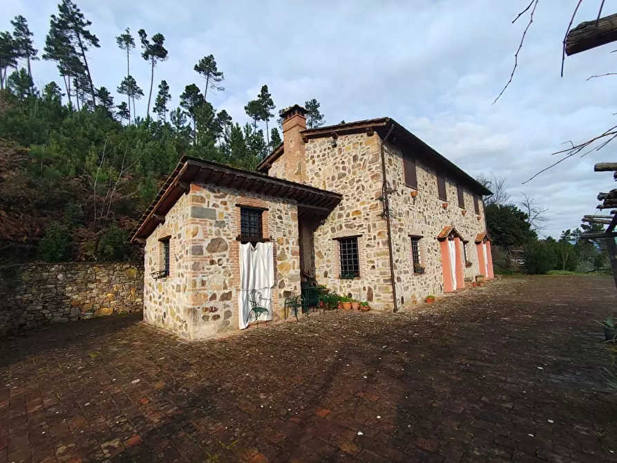 Immagine 1 di Casa colonica in vendita  a Capannori
