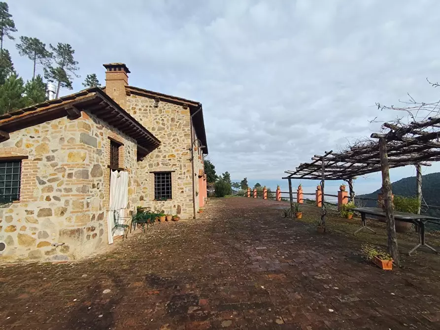 Immagine 3 di Casa colonica in vendita  a Capannori