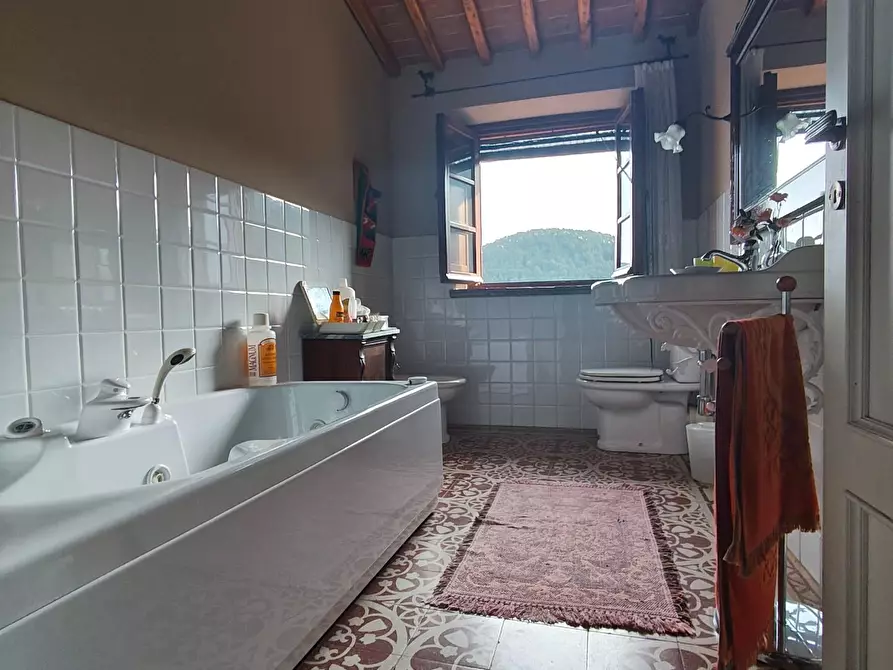 Immagine 43 di Casa colonica in vendita  a Capannori