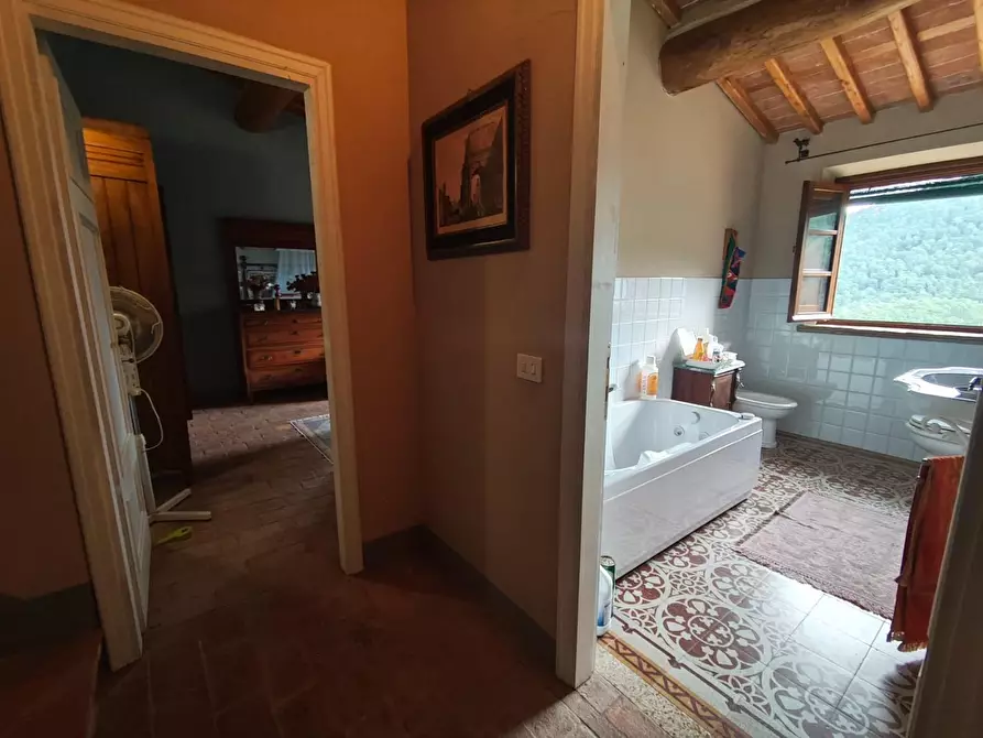 Immagine 56 di Casa colonica in vendita  a Capannori