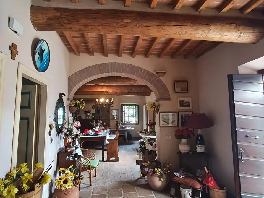 Immagine 22 di Casa colonica in vendita  a Capannori