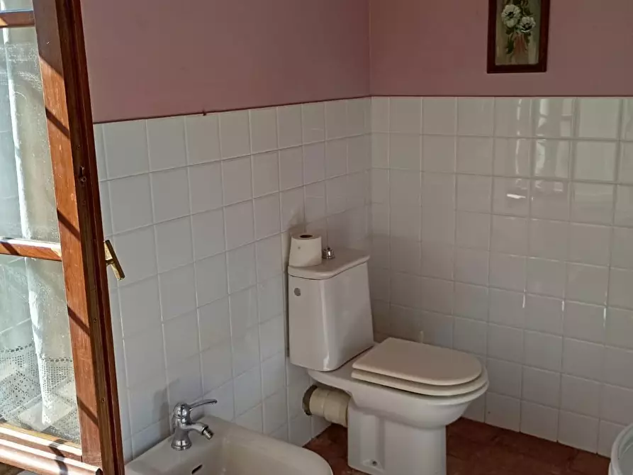 Immagine 87 di Casa colonica in vendita  a Capannori