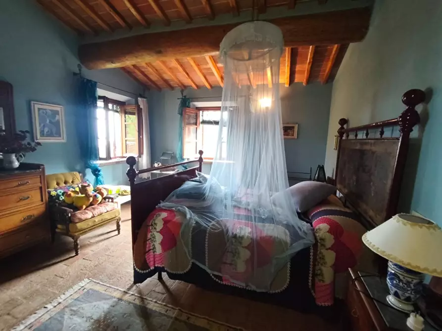 Immagine 47 di Casa colonica in vendita  a Capannori