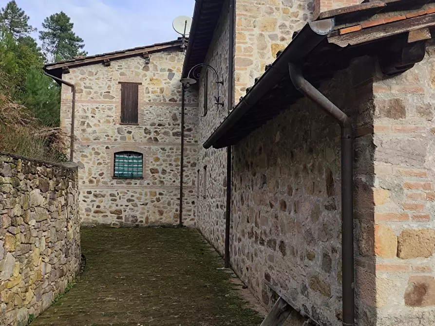 Immagine 17 di Casa colonica in vendita  a Capannori