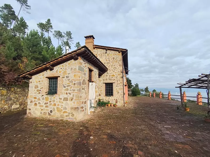 Immagine 4 di Casa colonica in vendita  a Capannori