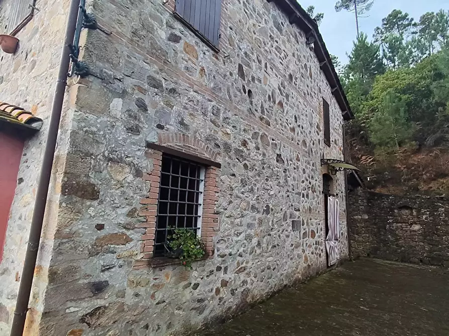 Immagine 13 di Casa colonica in vendita  a Capannori