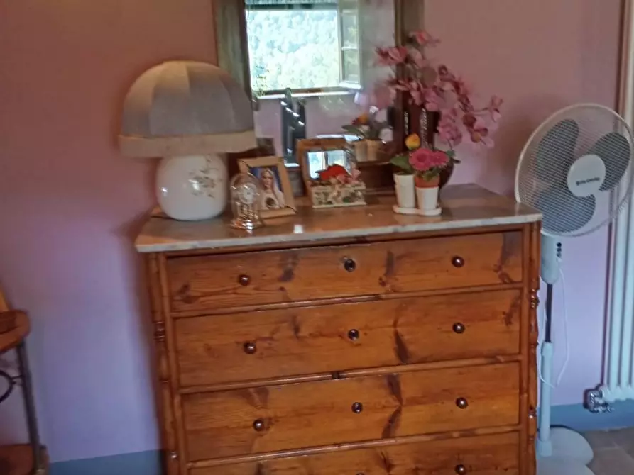 Immagine 89 di Casa colonica in vendita  a Capannori