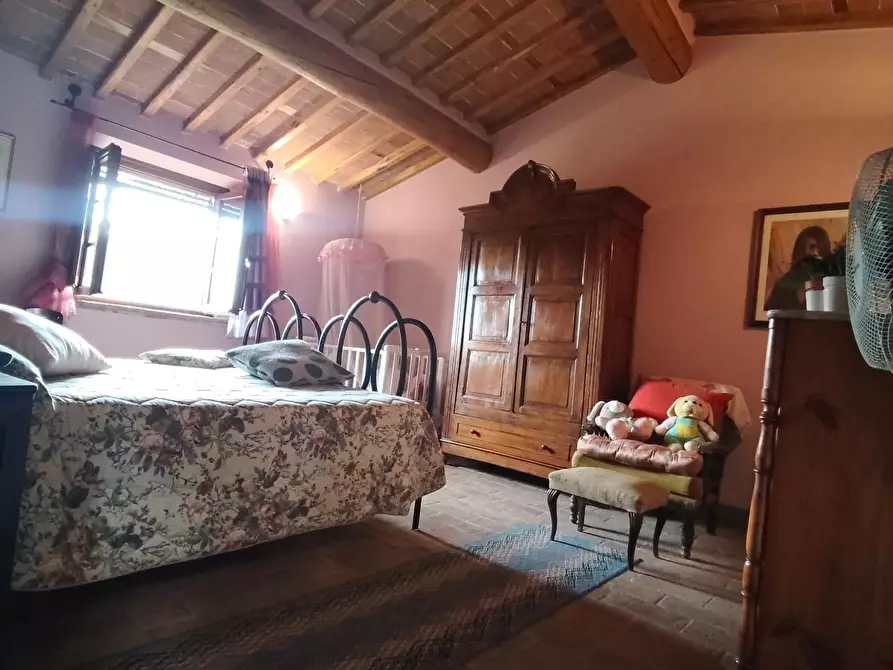 Immagine 58 di Casa colonica in vendita  a Capannori
