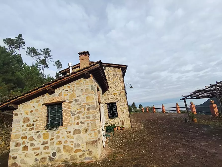 Immagine 5 di Casa colonica in vendita  a Capannori