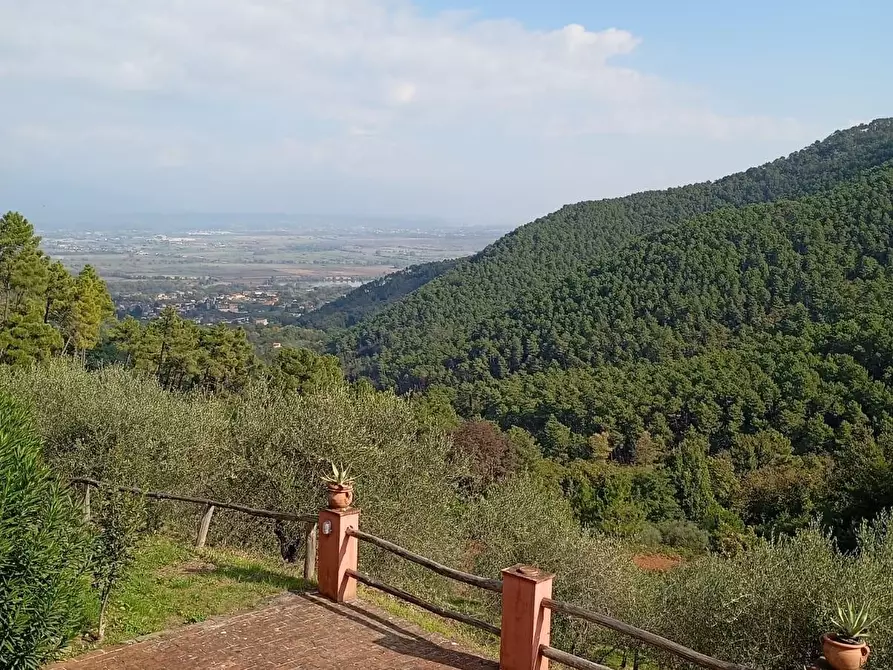Immagine 82 di Casa colonica in vendita  a Capannori