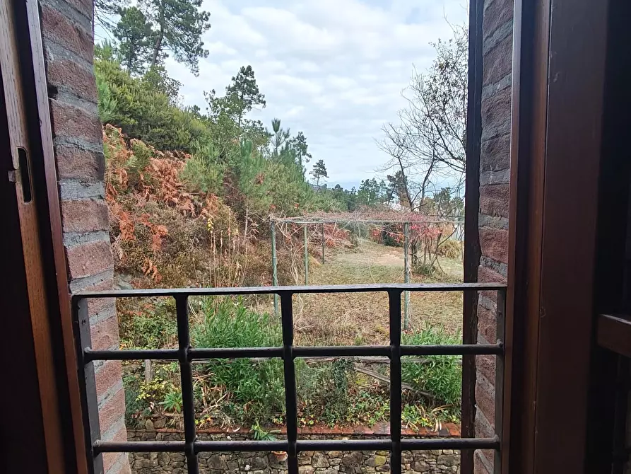 Immagine 53 di Casa colonica in vendita  a Capannori