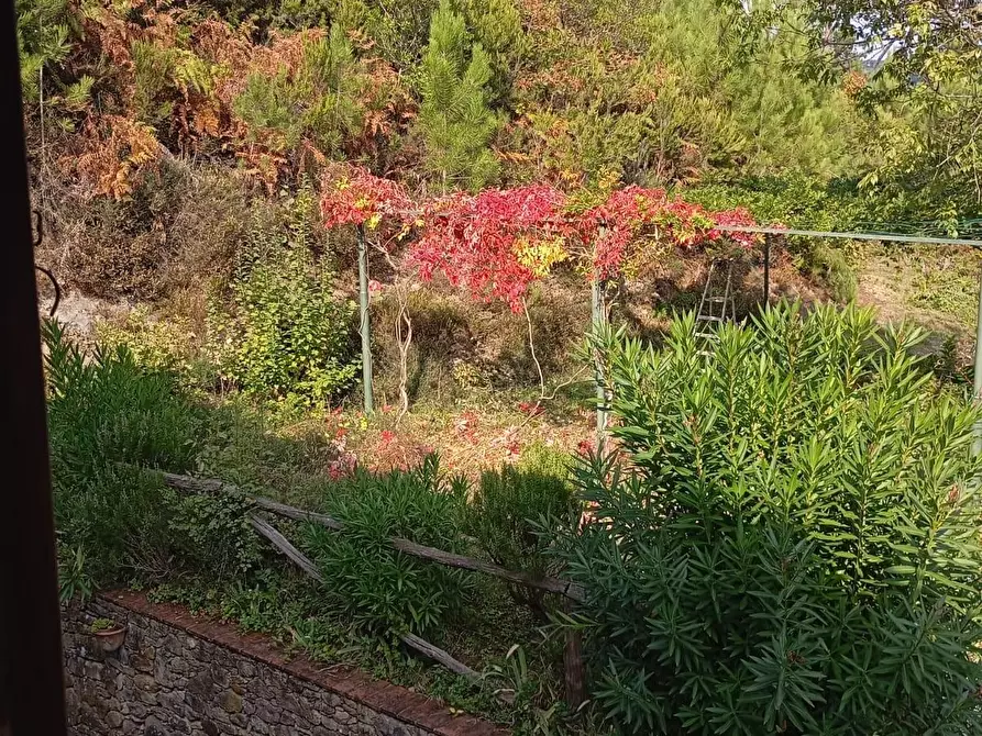 Immagine 81 di Casa colonica in vendita  a Capannori