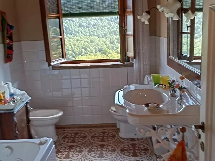 Immagine 80 di Casa colonica in vendita  a Capannori