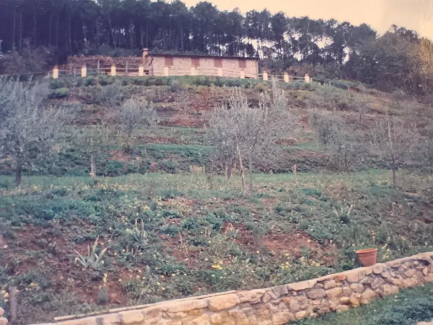 Immagine 70 di Casa colonica in vendita  a Capannori