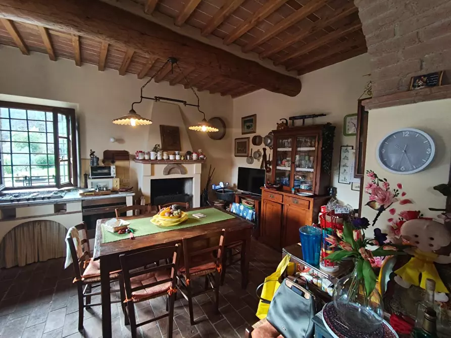 Immagine 21 di Casa colonica in vendita  a Capannori