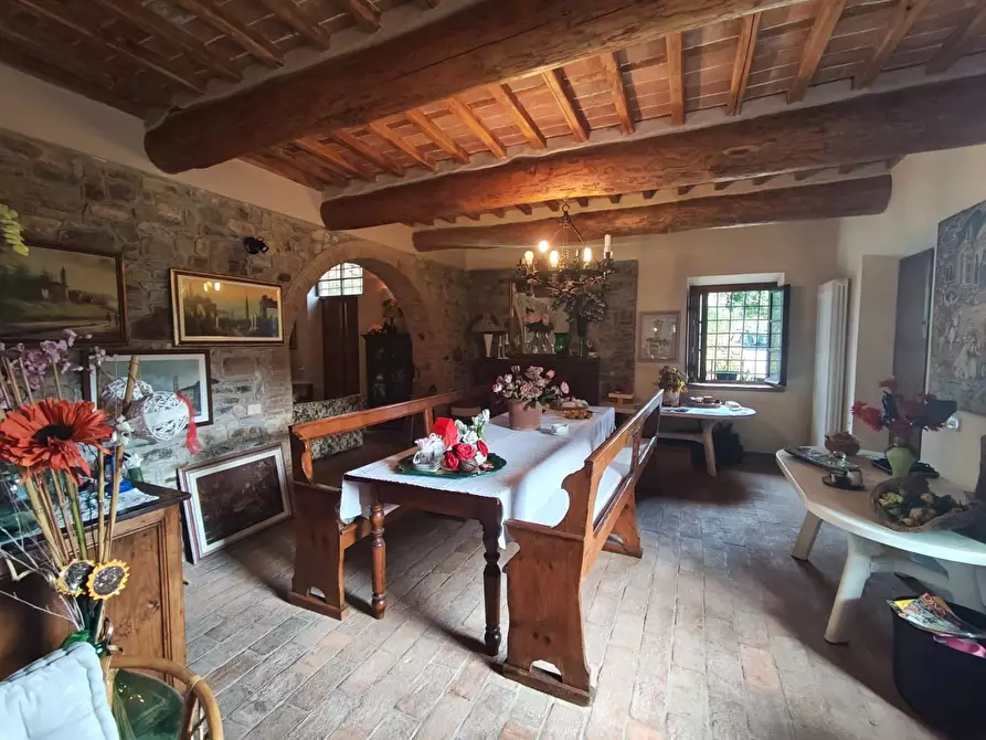 Immagine 25 di Casa colonica in vendita  a Capannori